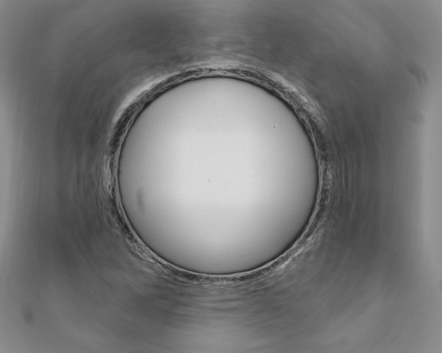X0000112021262200908031035