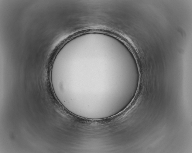 X0000112021263200908031035