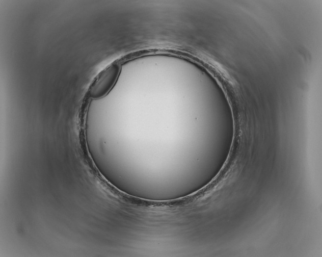 X0000112021264200908031035