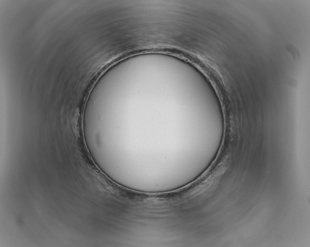 X0000112021265200908031035