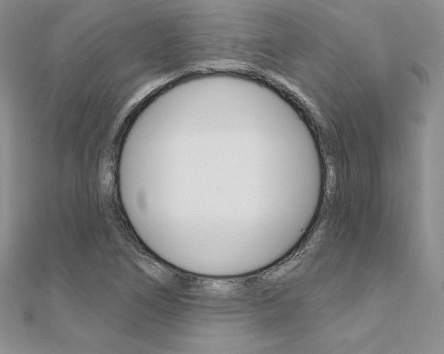X0000112021266200908031035
