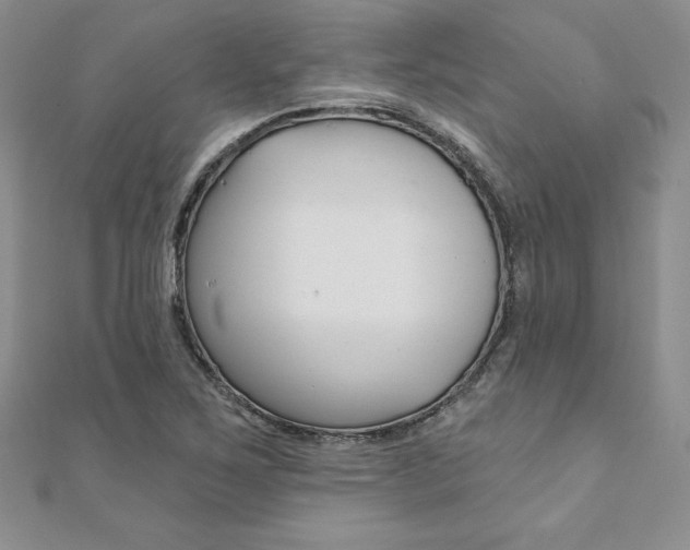 X0000112021267200908031035