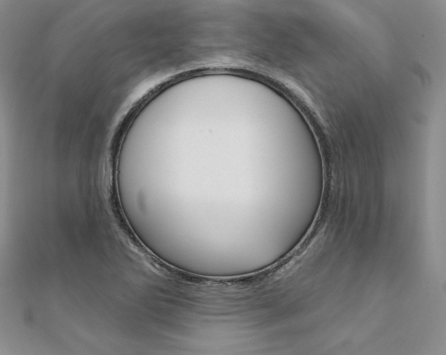 X0000112021270200908031035