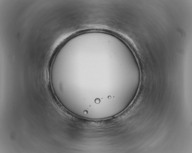 X0000112021271200908031034