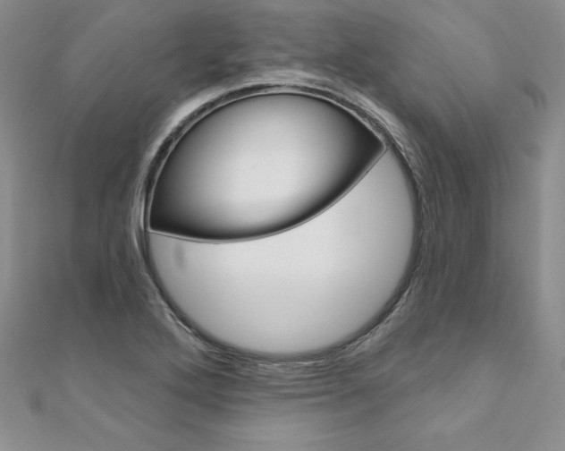X0000112021272200908031034