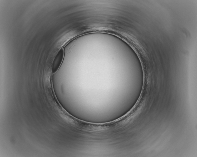 X0000112021273200908031034
