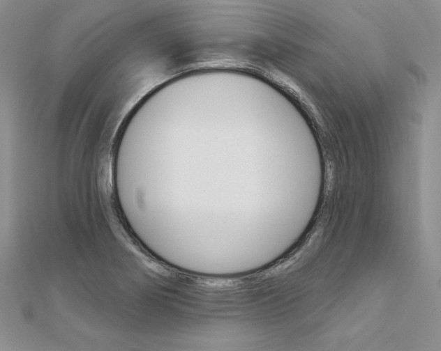 X0000112021274200908031034
