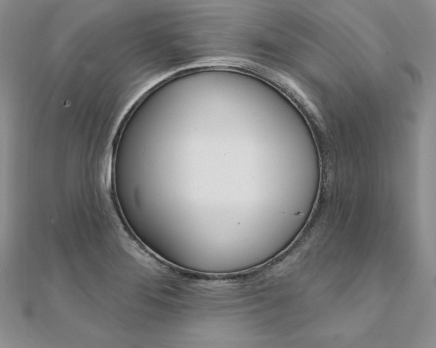 X0000112021276200908031034
