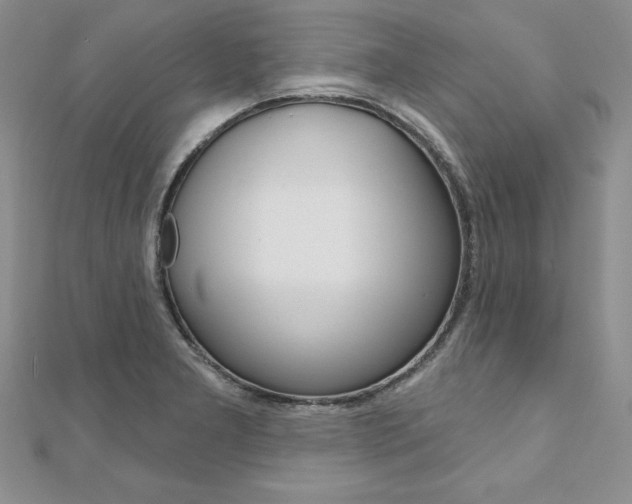 X0000112021277200908031034