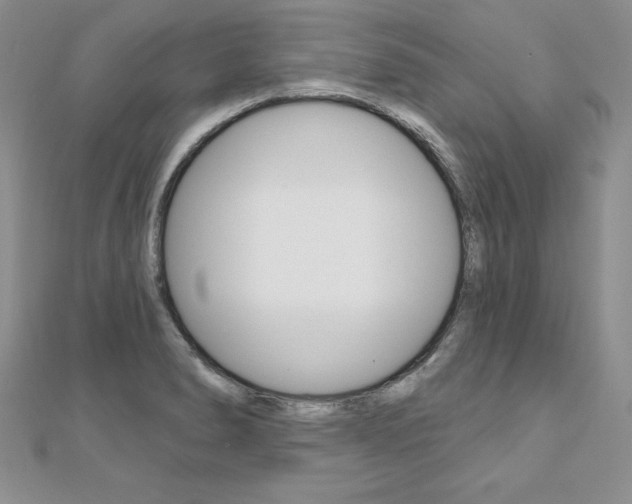 X0000112021278200908031034