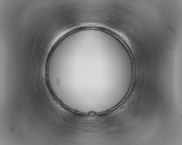 X0000112021279200908031034