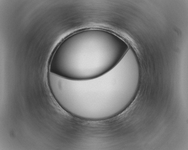 X0000112021280200908031034