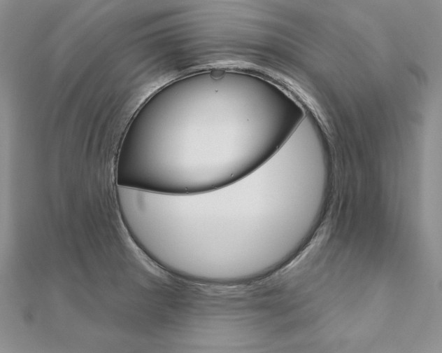 X0000112021281200908031034