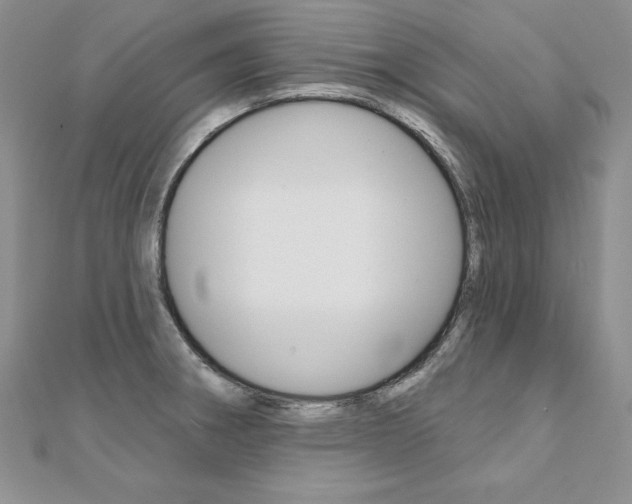 X0000112021282200908031034