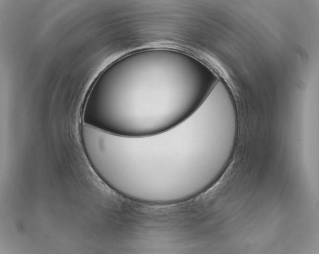 X0000112021284200908031034