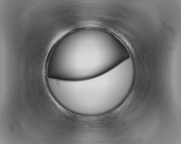 X0000112021285200908031034