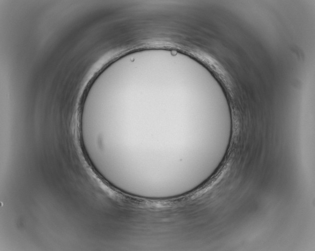X0000112021286200908031034