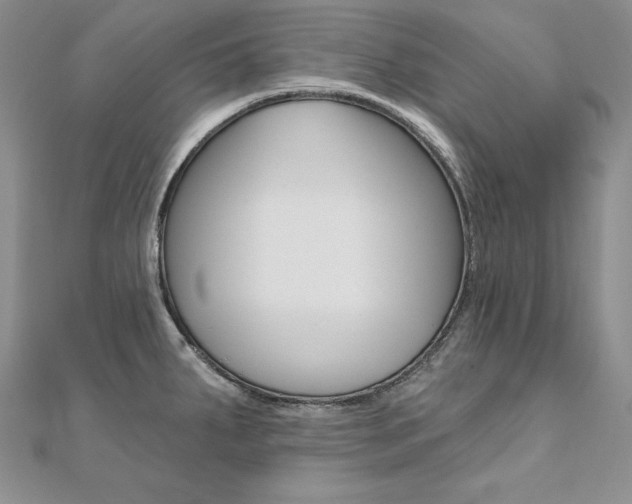 X0000112021287200908031034