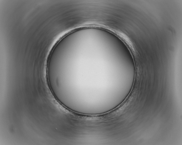 X0000112021288200908031034