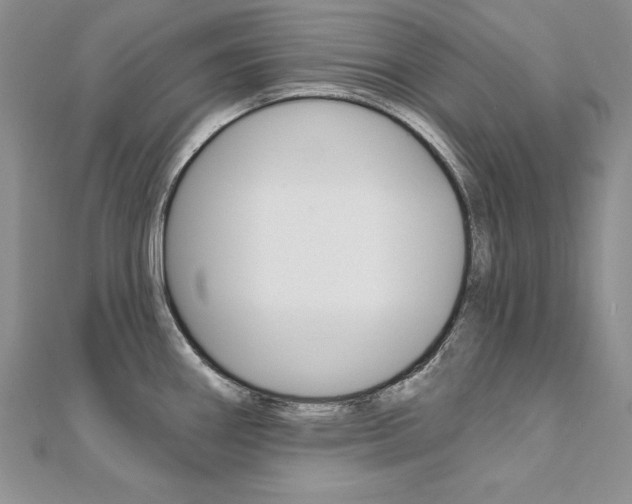 X0000112021290200908031034