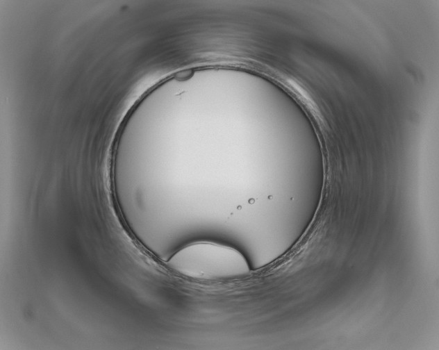 X0000112021291200908031034
