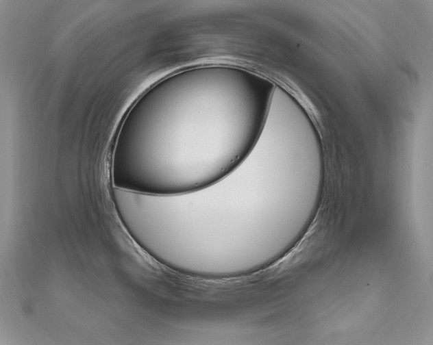 X0000112021292200908031034
