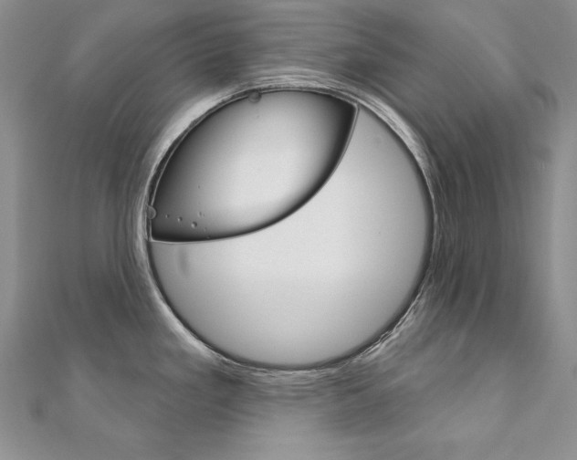 X0000112021293200908031034