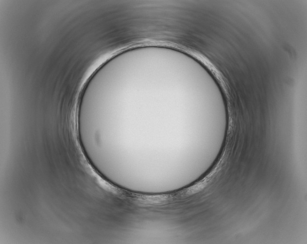X0000112021294200908031034