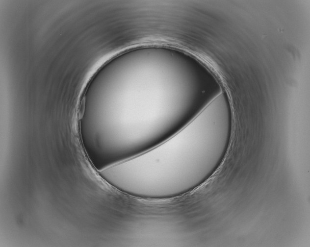 X0000112021296200908031034