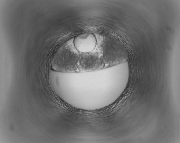 X0000112021297200908031033