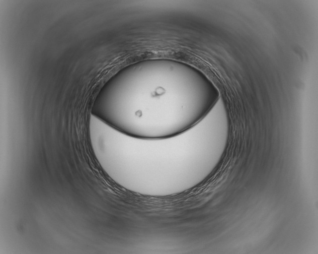 X0000112021298200908031033