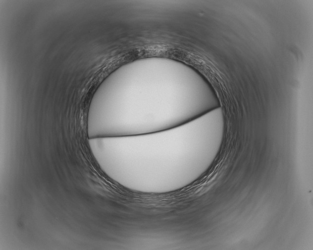 X0000112021299200908031033