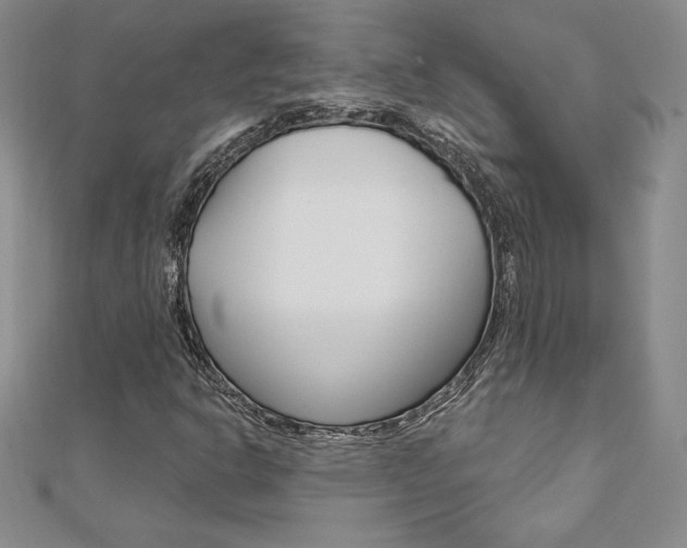 X0000112021302200908031033