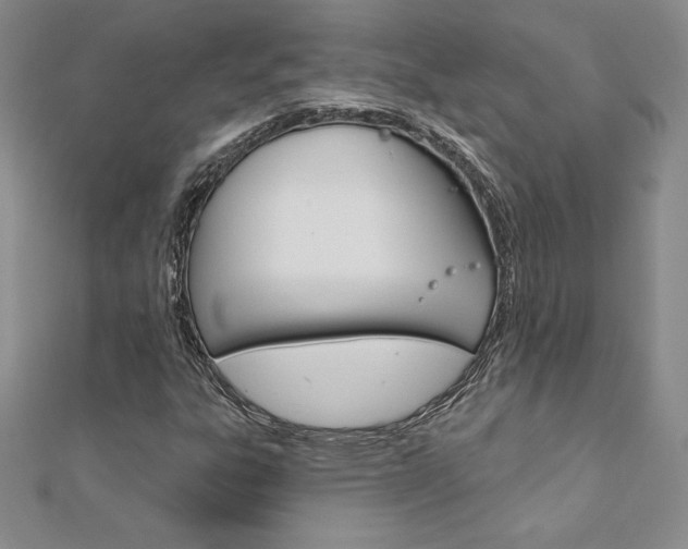 X0000112021303200908031033