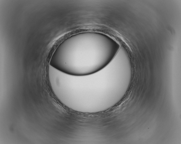 X0000112021304200908031033