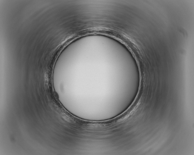 X0000112021305200908031033