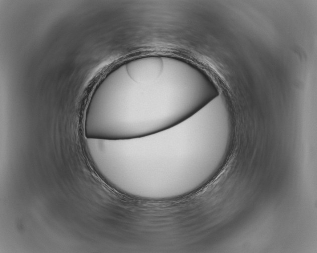 X0000112021307200908031034