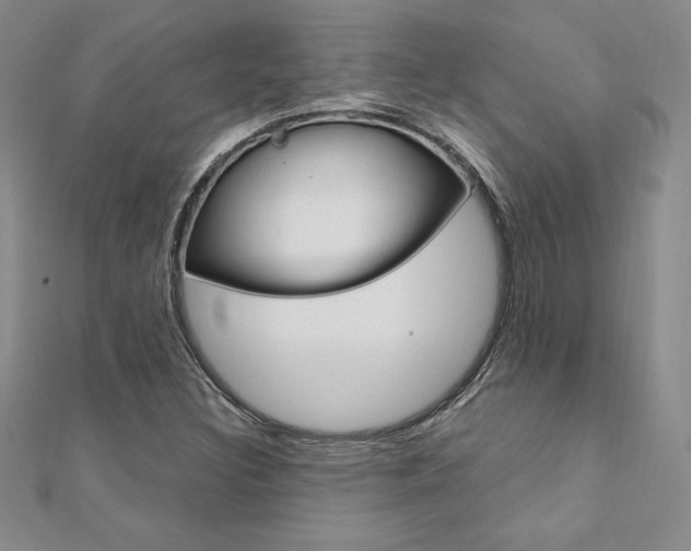 X0000112021308200908031034