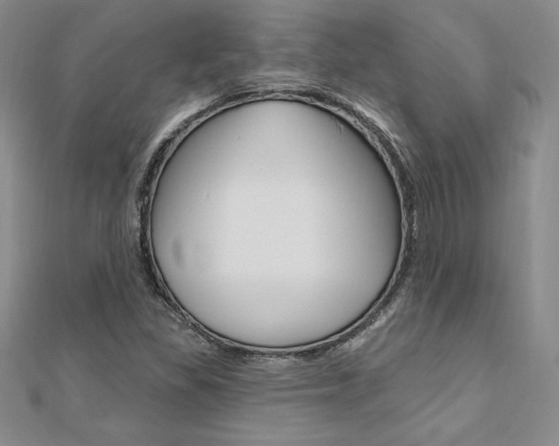 X0000112021309200908031034