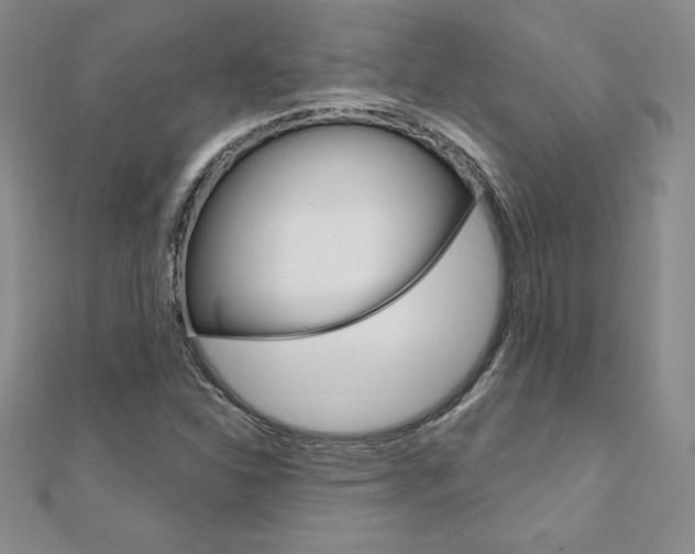 X0000112021310200908031034