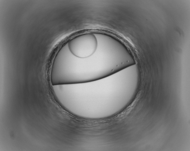 X0000112021311200908031034