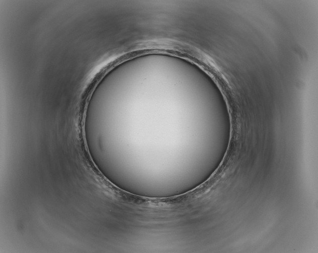 X0000112021312200908031034