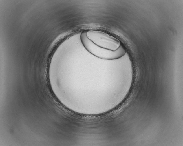 X0000112021314200908031034