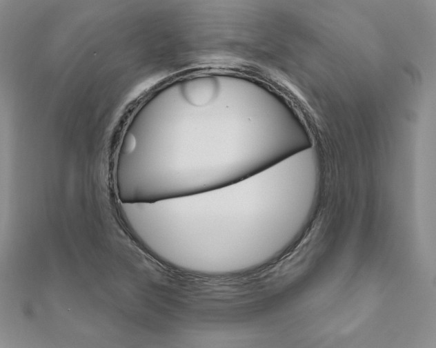 X0000112021315200908031034