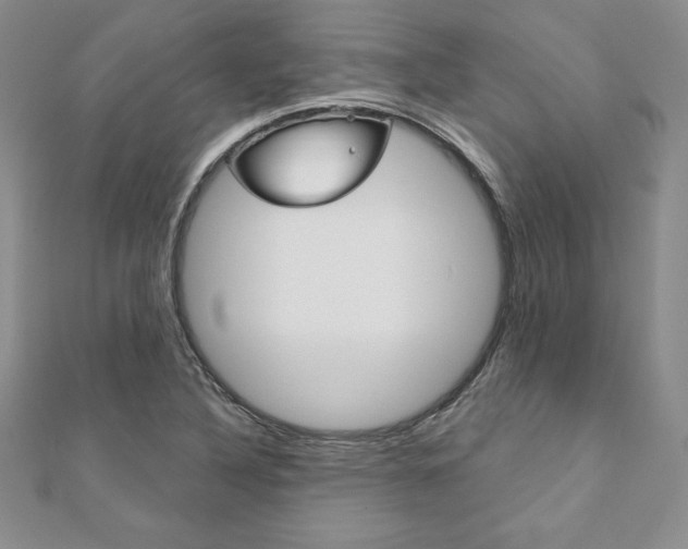 X0000112021316200908031034