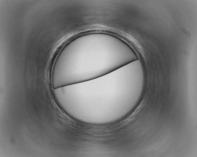X0000112021318200908031034