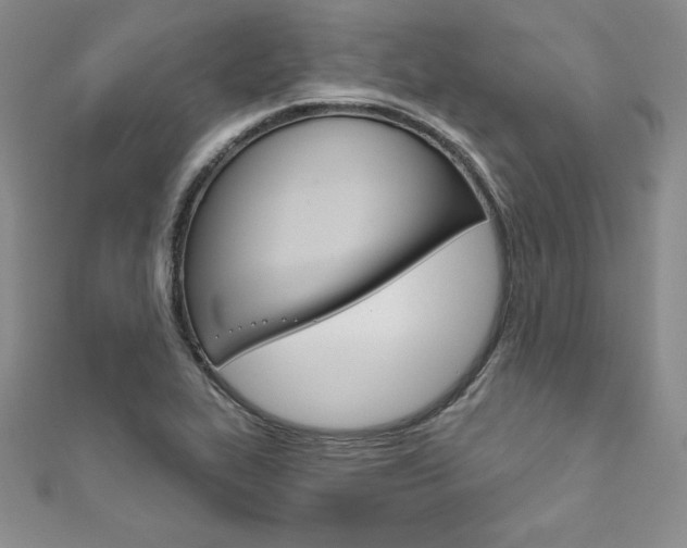 X0000112021319200908031034