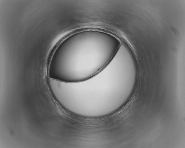 X0000112021320200908031034