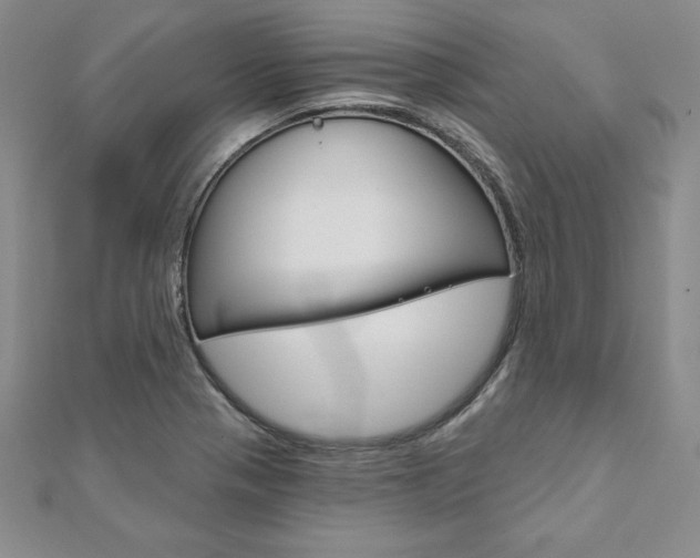 X0000112021321200908031034
