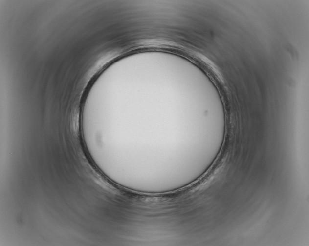 X0000112021322200908031034